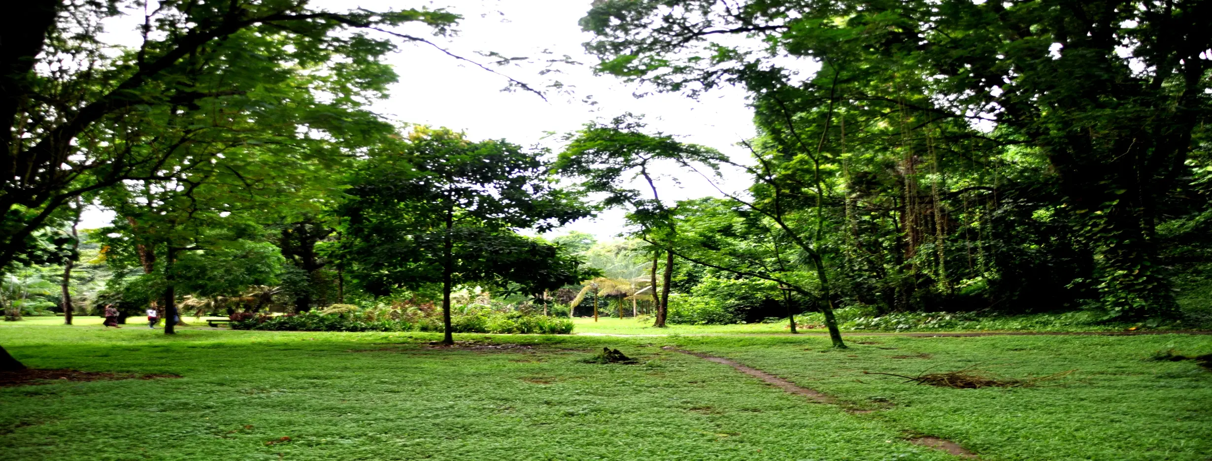 Image for Limbe Botanic Garden
